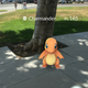 Pokémon Go
iTunes